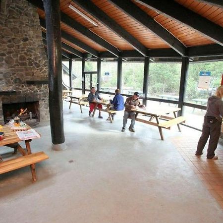 Discovery Parks - Cradle Mountain Accommodation Esterno foto