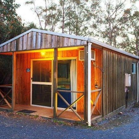 Discovery Parks - Cradle Mountain Accommodation Esterno foto