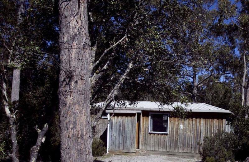 Discovery Parks - Cradle Mountain Accommodation Esterno foto